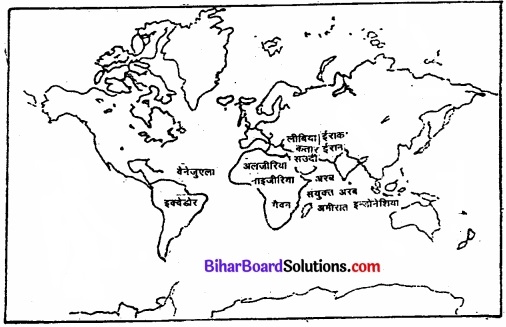 Bihar Board Class 12 Geography Solutions Chapter 9 अंतर्राष्ट्रीय व्यापार img 4