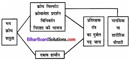 Bihar Board Class 12 Psychology Solutions Chapter 3 जीवन की चुनौतियों का सामना img 1