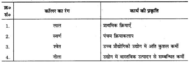 Bihar Board Class 12th Geography Notes Chapter 7 तृतीयक और चतुर्थ क्रियाकलाप 2